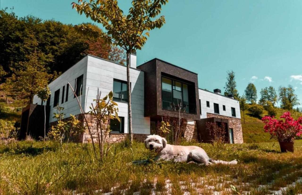 Apartamento Bergaretxe Geltokia Legazpia Exterior foto